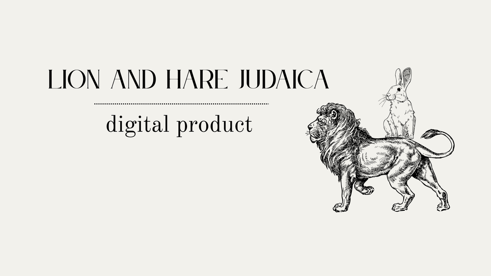 Antizionism is not Antisemitism Zine